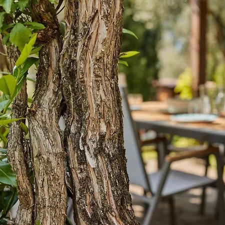 Paier Relais & Pool * Malcesine